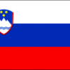 RU Flag Slovenia Flag 12x18 inch on a stick