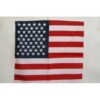vendor-unknown Other Cool Flag Items USA Bandana
